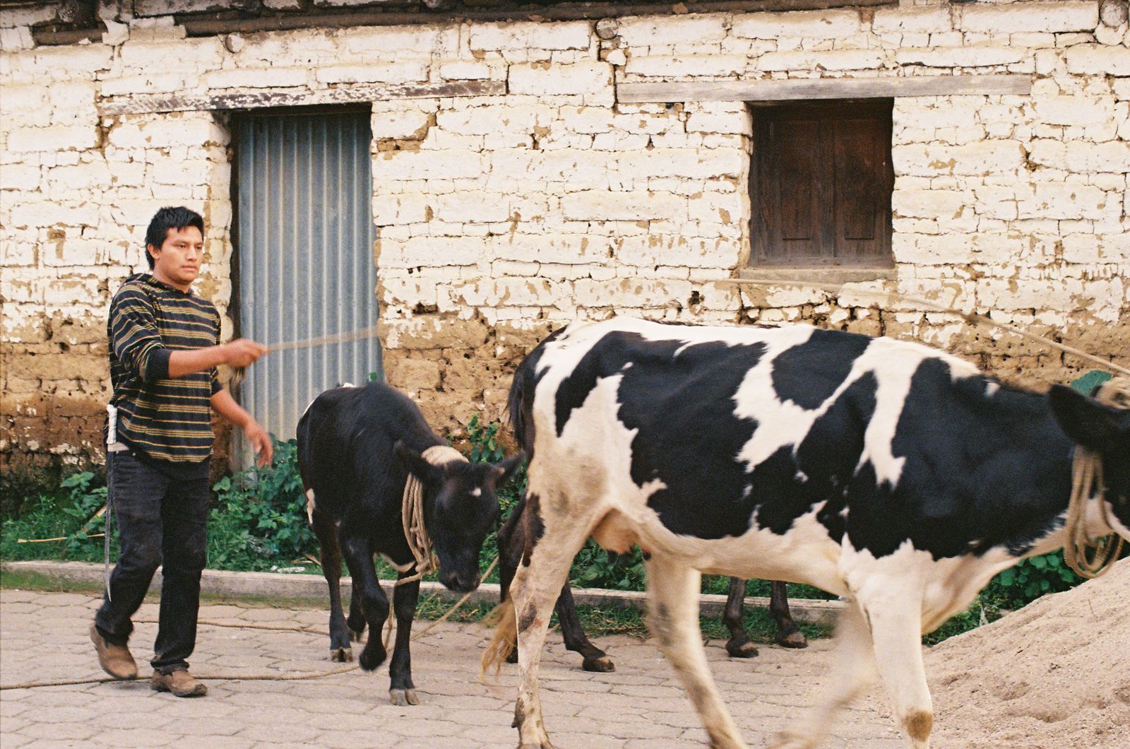 Photographie numérique Guatemala – photographe Jeanne Parisot Oléron Charente-Maritime